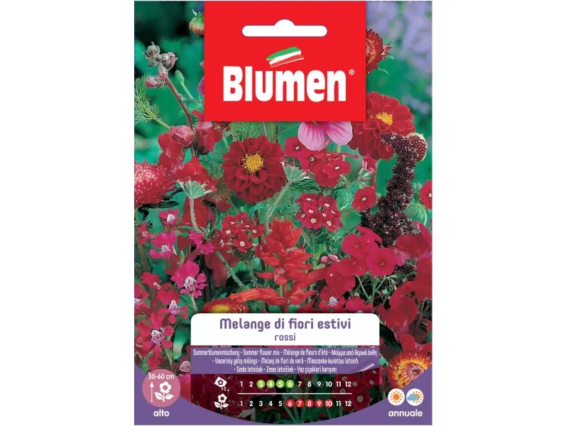 Blumen Melange di fiori estivi rossi