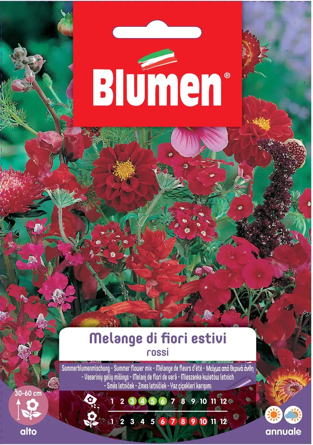 Blumen Melange di fiori estivi rossi