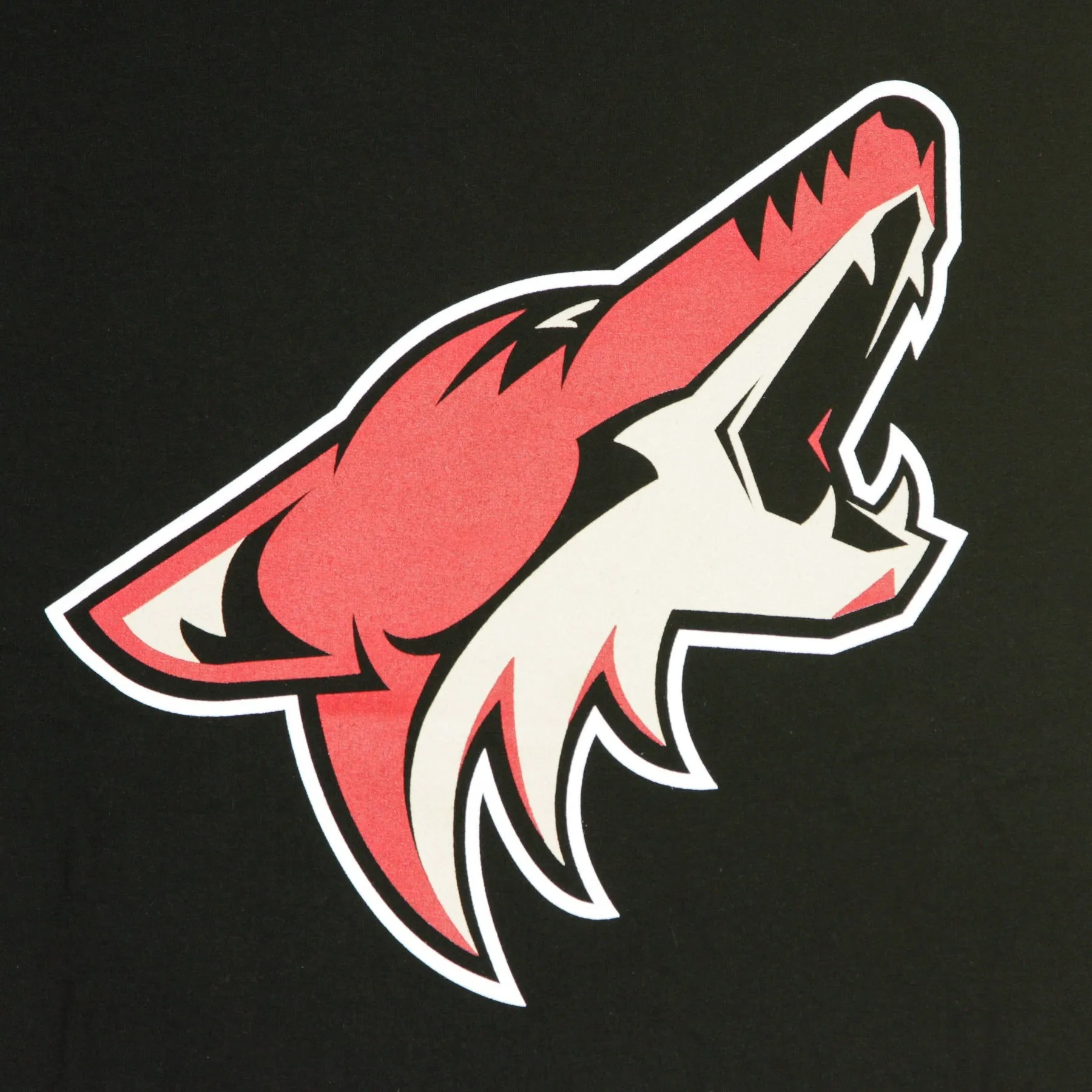 Maglietta Uomo Nhl Iconic Primary Colour Logo Graphic T-shirt Aricoy Original Team Colors