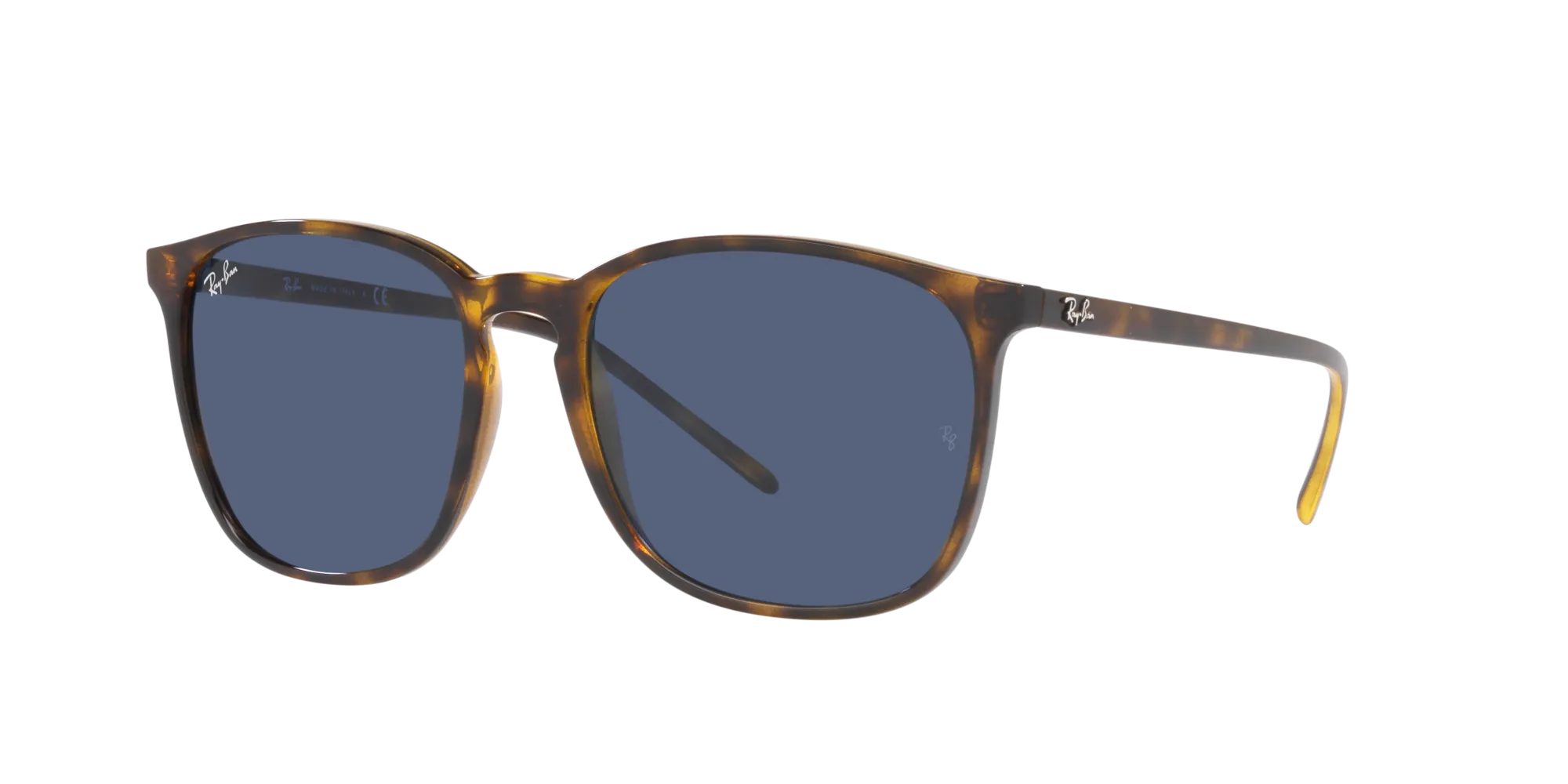   Ray - Ban RB4387  710/80