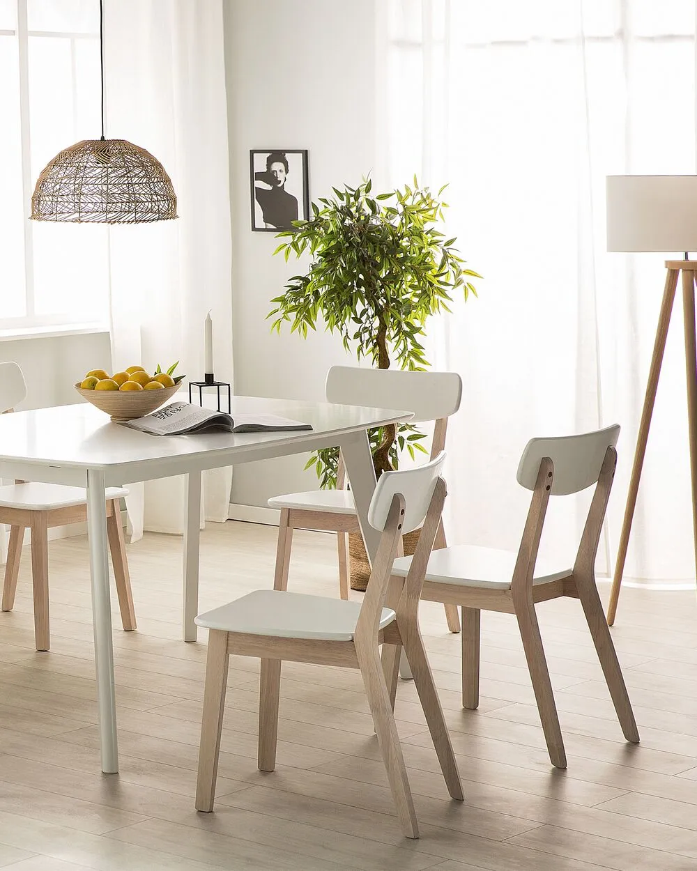 Set of 2 Dining Chairs SANTOS White