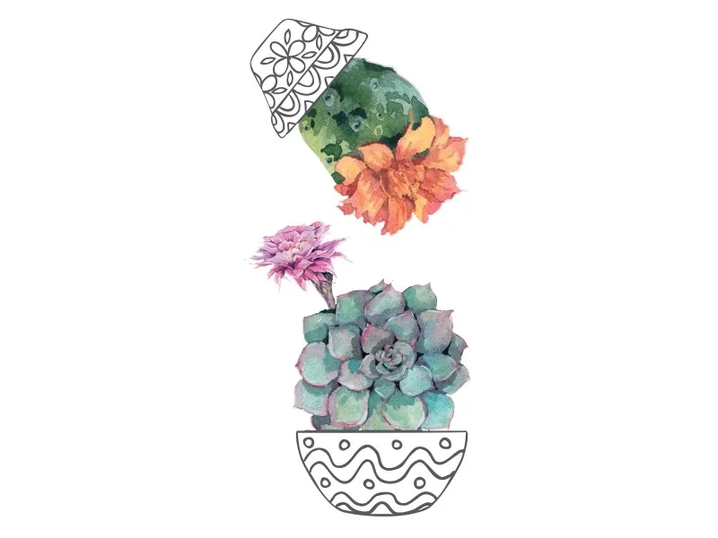 Sticker autoadesivo 2fg 15x31 cm cactus vases