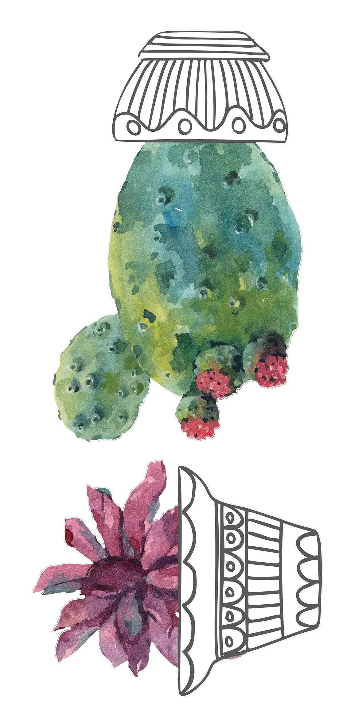 Sticker autoadesivo 2fg 15x31 cm cactus vases