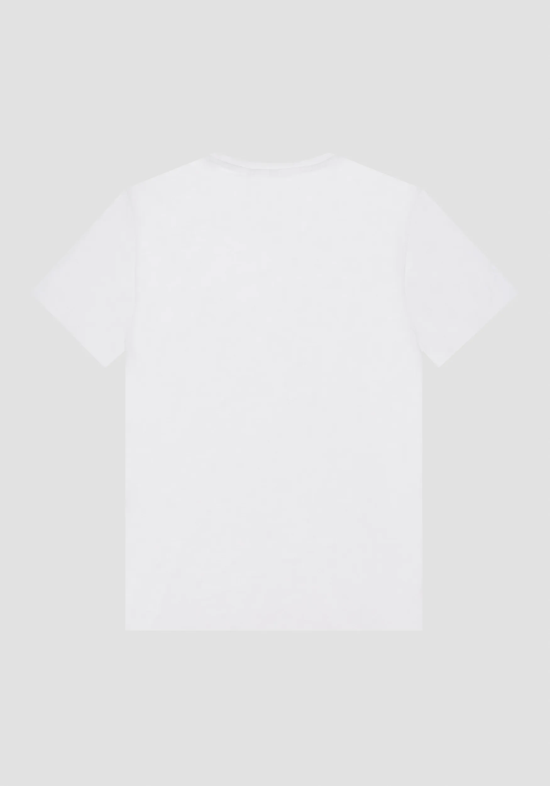 T-SHIRT REGULAR FIT IN COTONE FIAMMATO CON STAMPA LOGO GOMMATA AD INIEZIONE