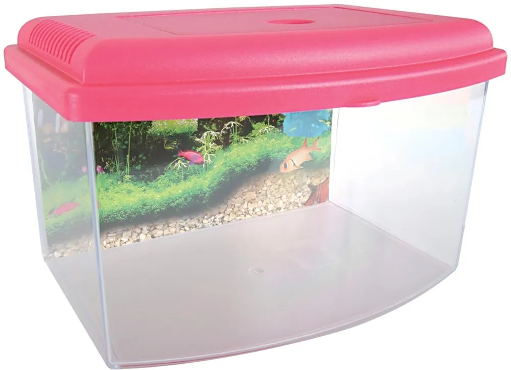 Vaschetta plastica 28 cm