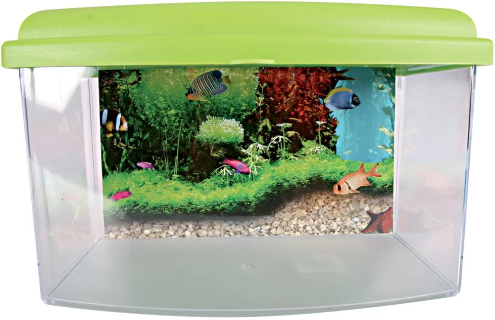 Vaschetta plastica 28 cm