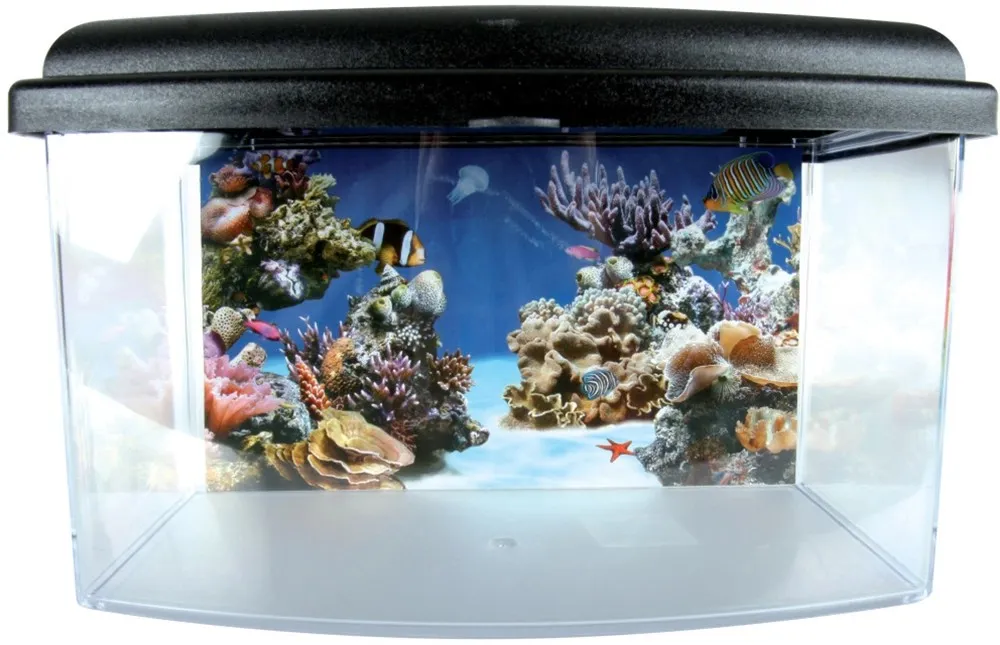 Vaschetta plastica 28 cm