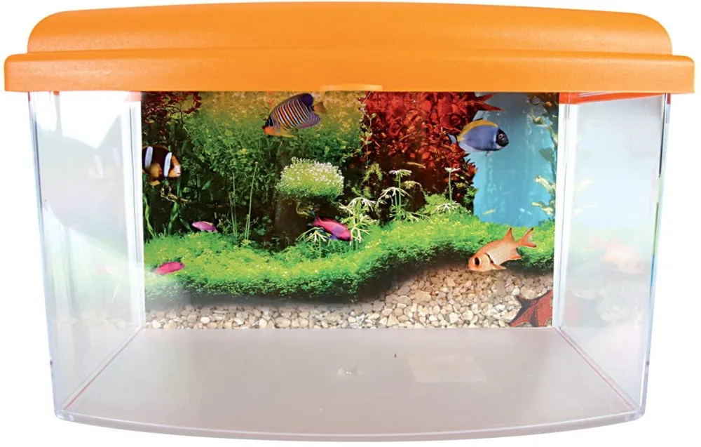 Vaschetta plastica 28 cm